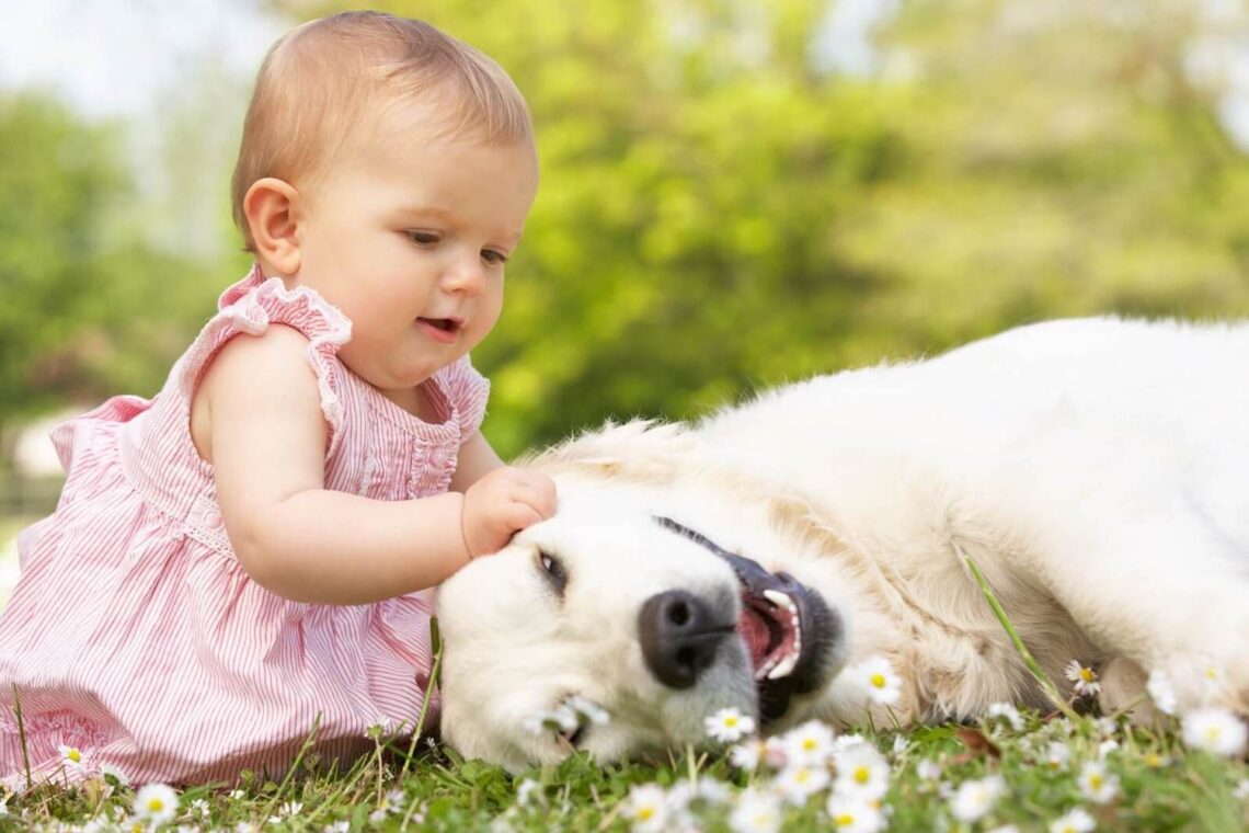 Why you should buy a dog for your child