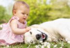 Why you should buy a dog for your child