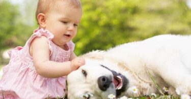 Why you should buy a dog for your child